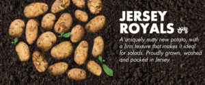 Jersey Royals Potatoes